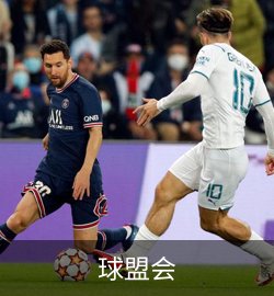 案例球盟会